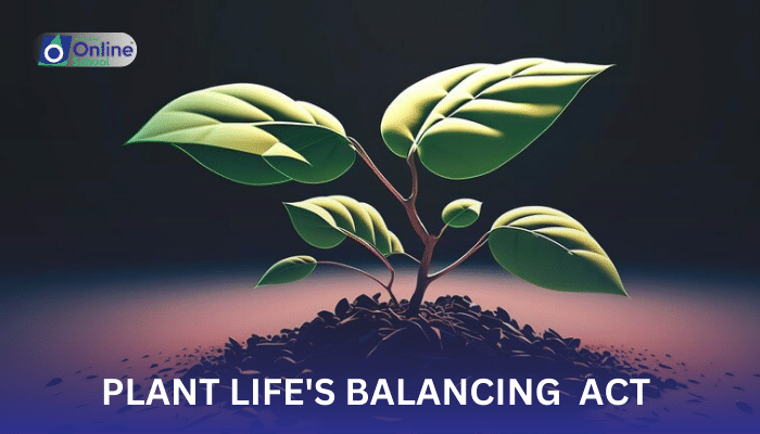 Lesson 03: Transpiration: Plant Life's Balancing Act